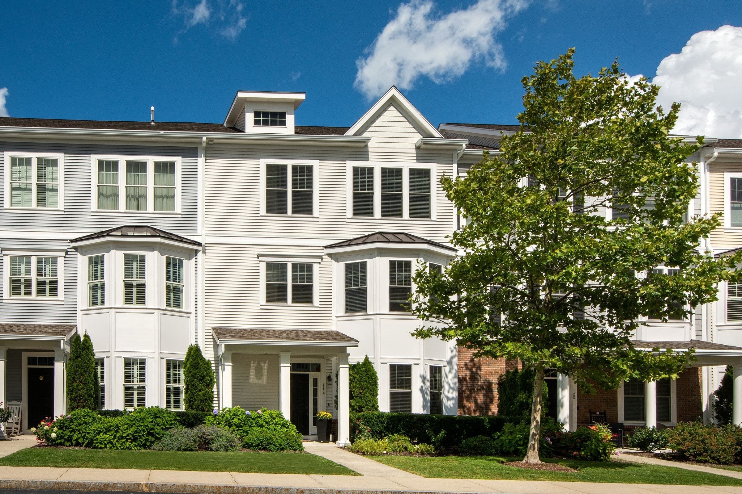 Row of sided townhouses with bay windows behind a street tree