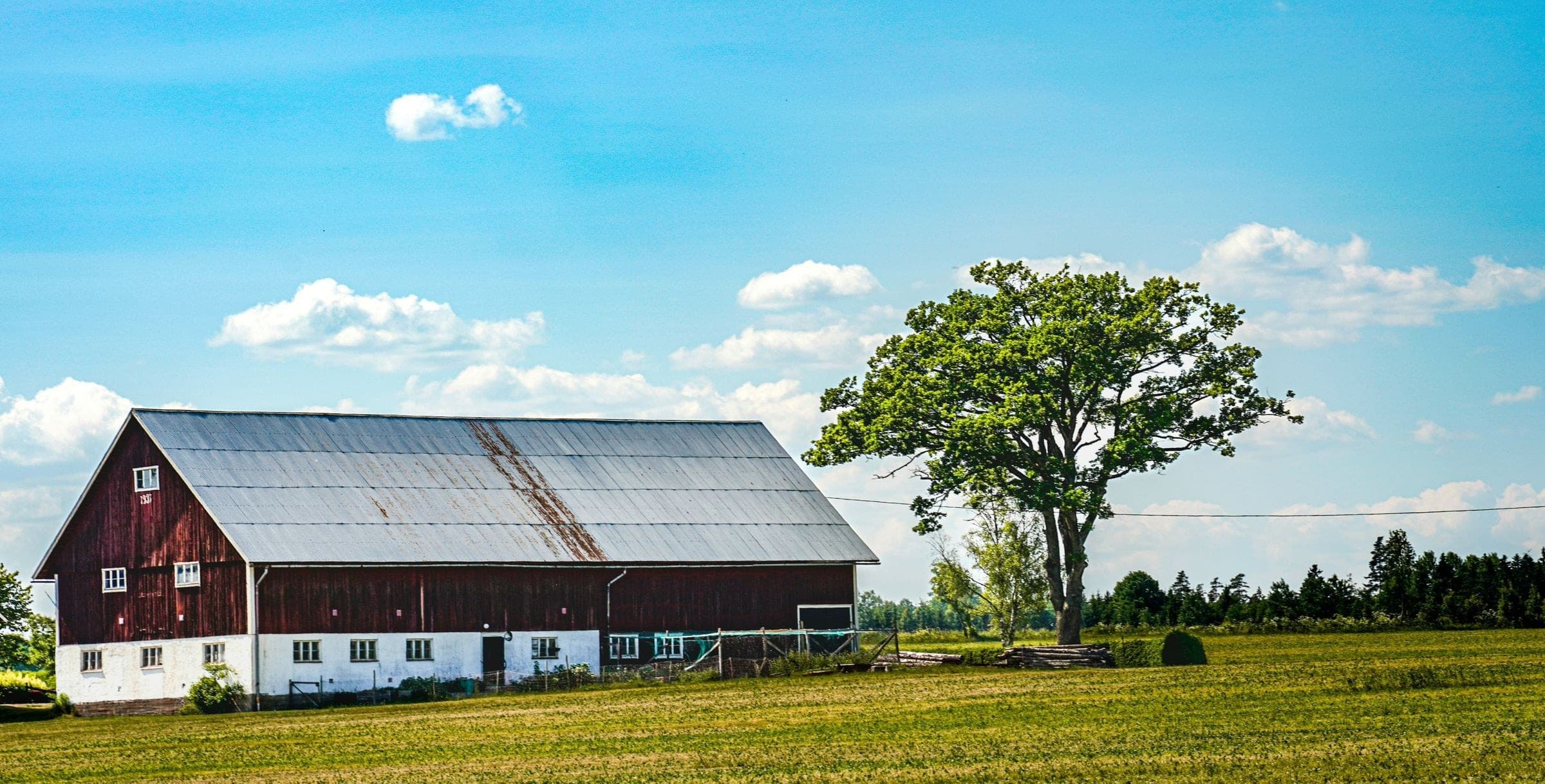 Red barn and a large tree in a green field