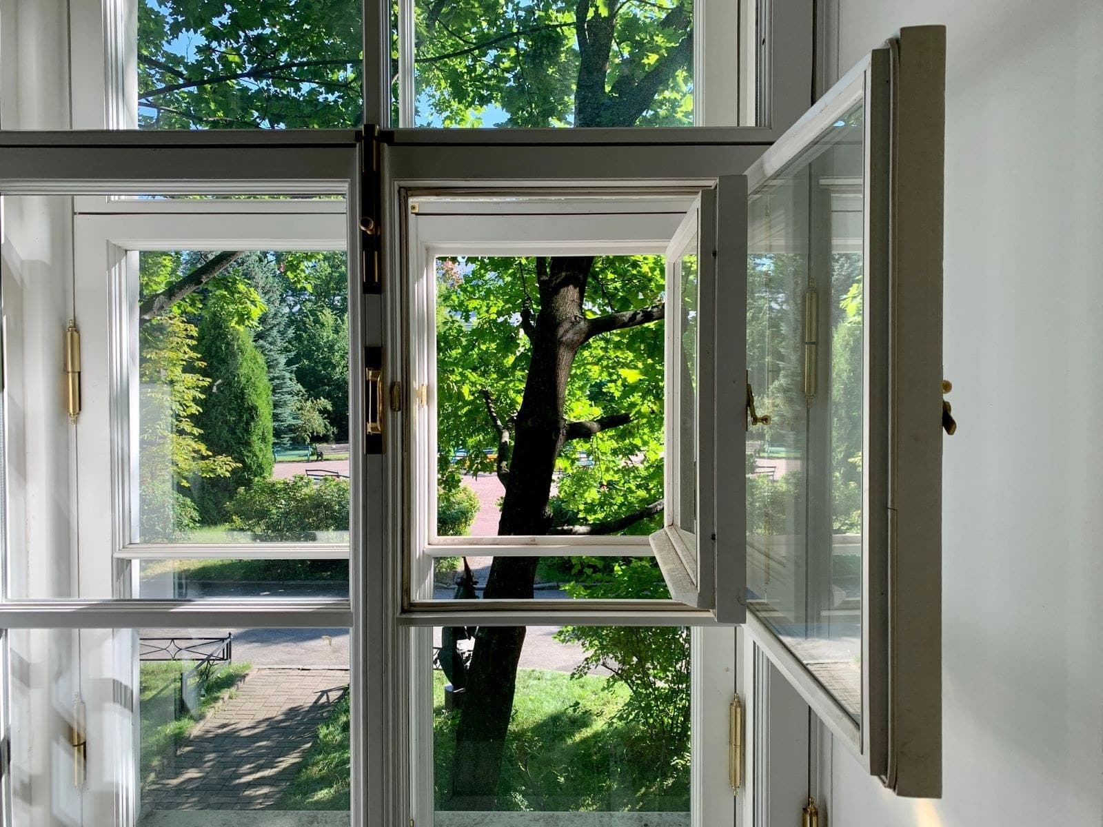 Open side-hinged casement windows looking out onto green trees